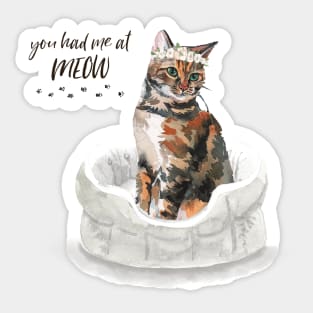 You Had Me At Meow Sticker